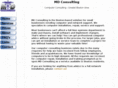 md-consulting.com