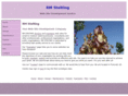 stelting.com