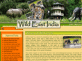 wildeastindia.com