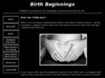 birthbeginnings.com