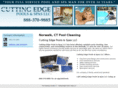 cuttingedgepoolandspa.com
