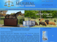 mughalscale.com