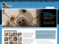 pvaconline.com