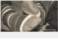 scheunig.com