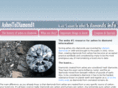 ashestodiamond.com
