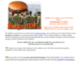 burgeridf.com