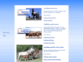 dreamhorseranch.com