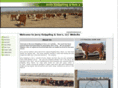 knipplingcattle.com