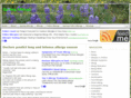 springallergy.net