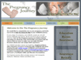 thepregnancyjourney.com