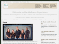 wellness-experience.com