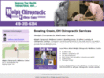 wolphchiropractic.com