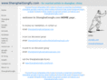 shanghaigongfu.com