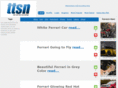 ttsn.net