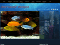 bio-fusiondesigns.com