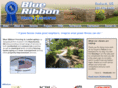 blueribbonfence.com
