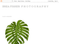 breafisher.com