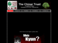 chinartrust.org
