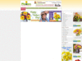 compareflorist.net