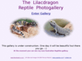 lilacdragon.co.uk