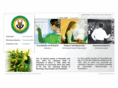 lpsonline.org
