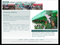 promotionsolutions.info