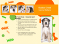 shadowcreekcanine.com