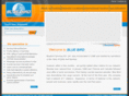 bluebirdcourier.in
