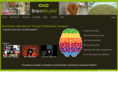 brainstudiointernational.com