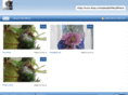 fairywhere.com