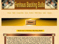 fenhausbuckingbulls.com