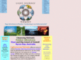 lightjourney.net