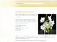 paperwhitesbermuda.com