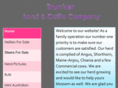 brunkerlandandcattle.com