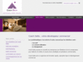 coach-delta.com