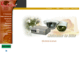 lilin-cctv.ru