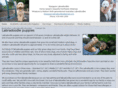 mistymorninglabradoodles.com