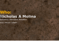 nicholasamolina.com