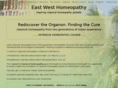 eastwesthomeopathy.com