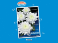 retine-flowers.com