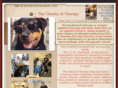 theschatzifoundation.org