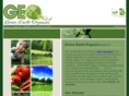 think-geo.com