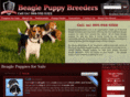 beaglepuppybreeders.com