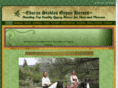 esgypsyhorses.com