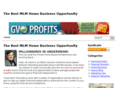 sfi-homebusiness.com