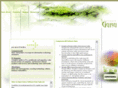 swguru.net