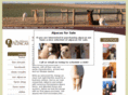 bigmountalpacas.com