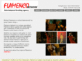 flamenconetwork.com