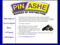 pin-ashe.com