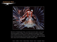 shallenbergerphoto.com
